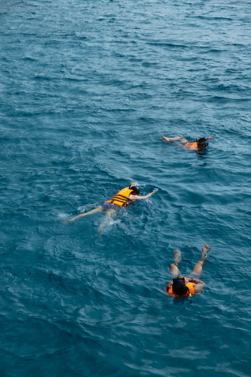 Three guests snorkeling in blue water viewed from above